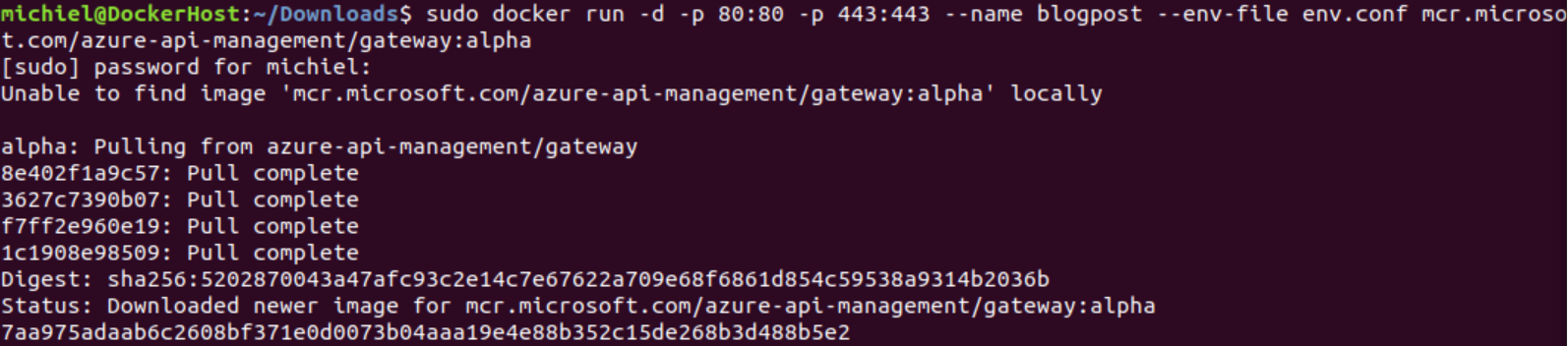 Arc APIM Single node